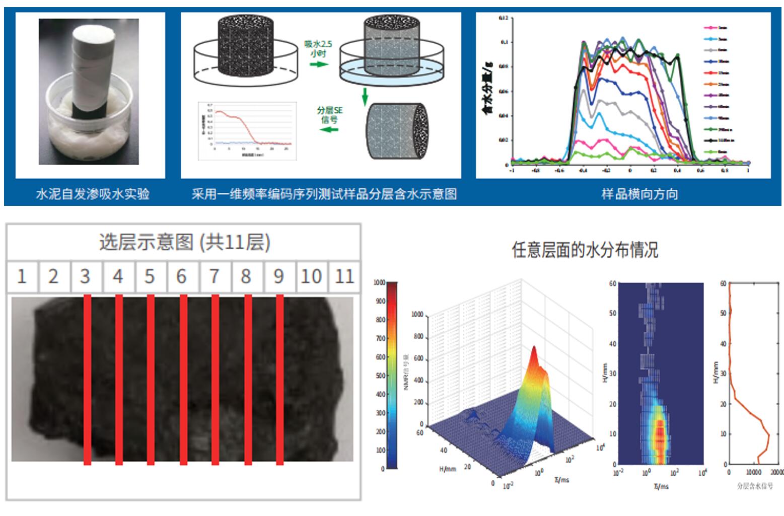 岩芯分层含水核磁共振测试
