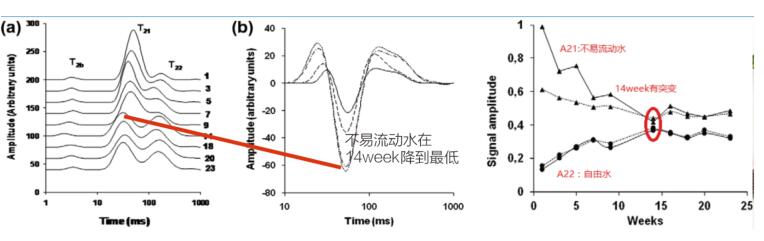 核磁共振在食品货架期中的应用