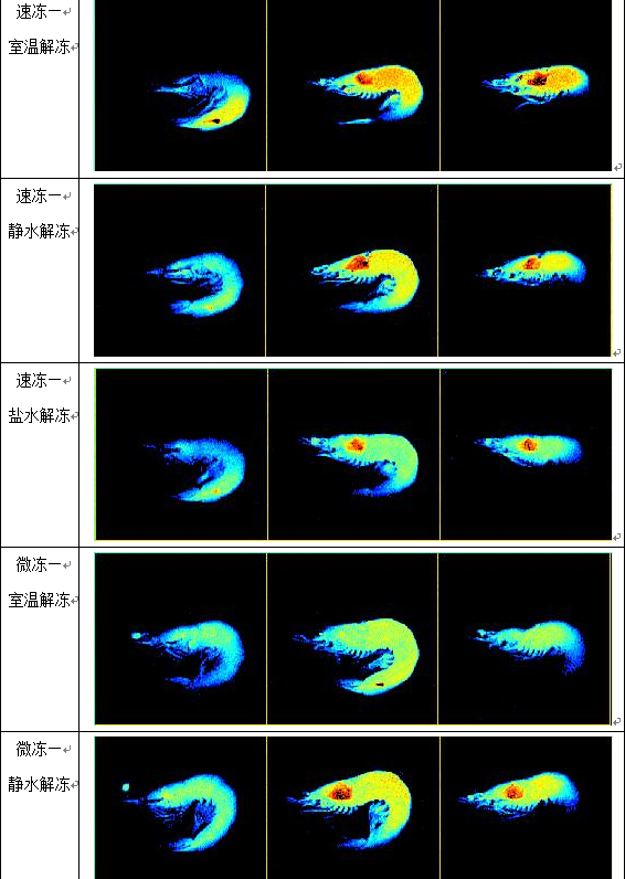 不同冷冻方式及解冻方式对虾肉各组分水分的