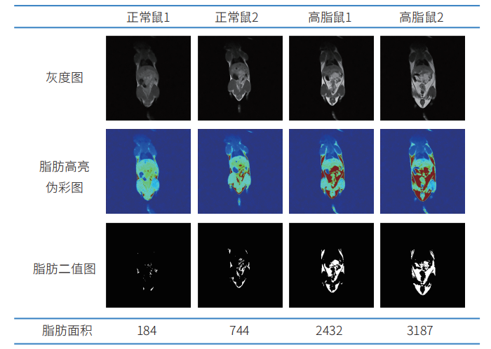 低场核磁共振技术研究活体小动物的体成分