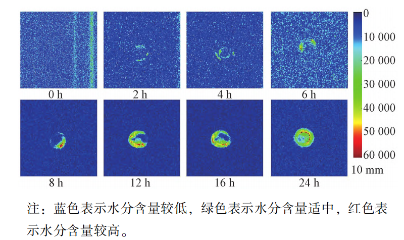 2、软化过程中黄芪 ＭＲＩ 成像02.png