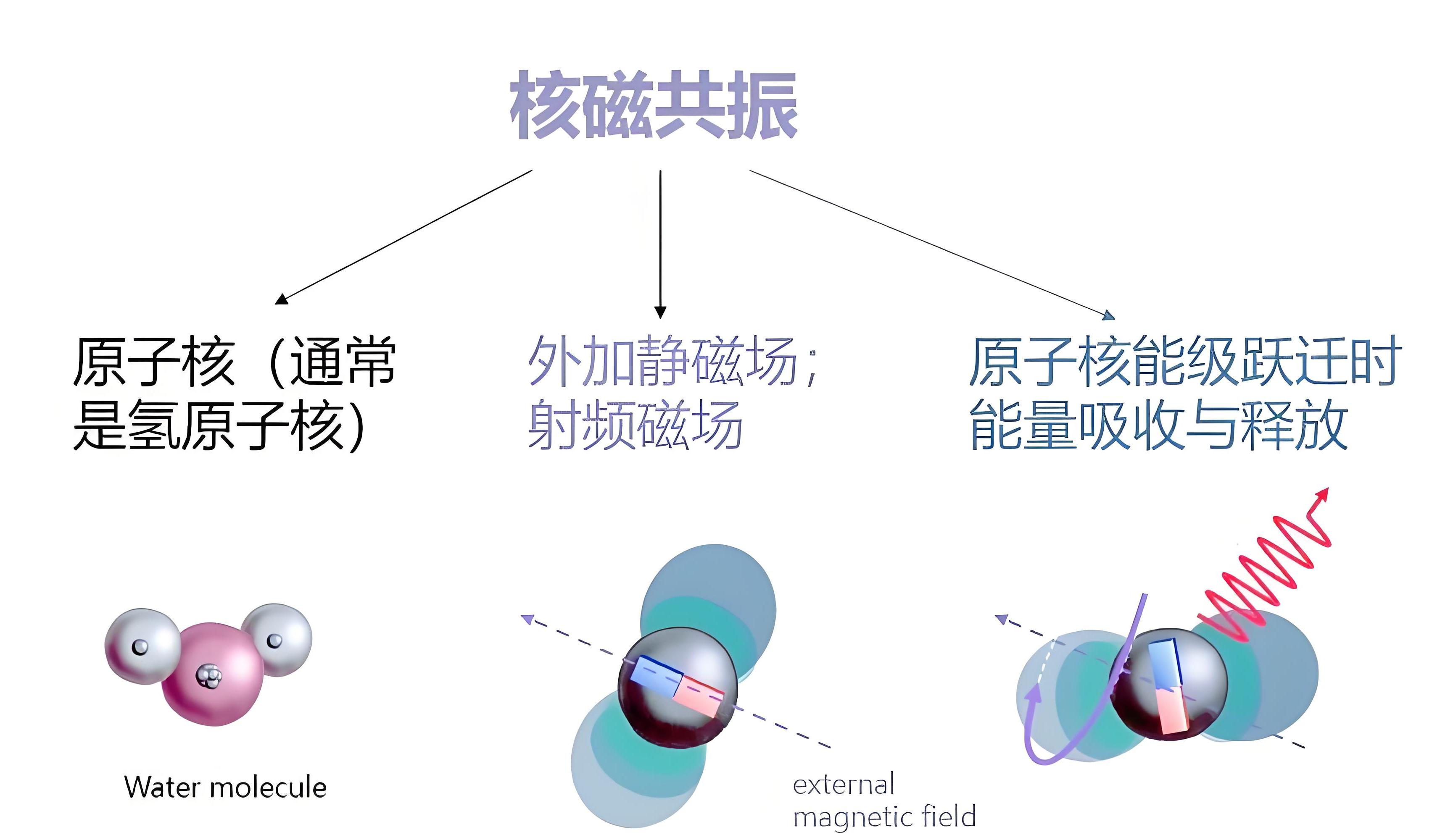 低场核磁共振技术：乳霜与凝胶质地分析的新方法