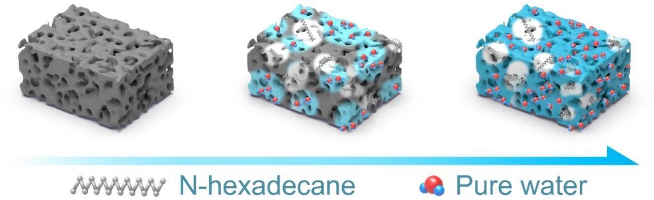 低场核磁共振技术：原位透视吸附与解吸过程的新窗口